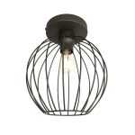 NEST 1 BL
