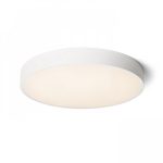 Ceiling Light - Flush Mount Light
