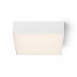 LARISA SQ 22 CEILING