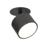 Modern black ceiling mounted spotlight